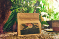 Costa Rica Hacienda La Amistad