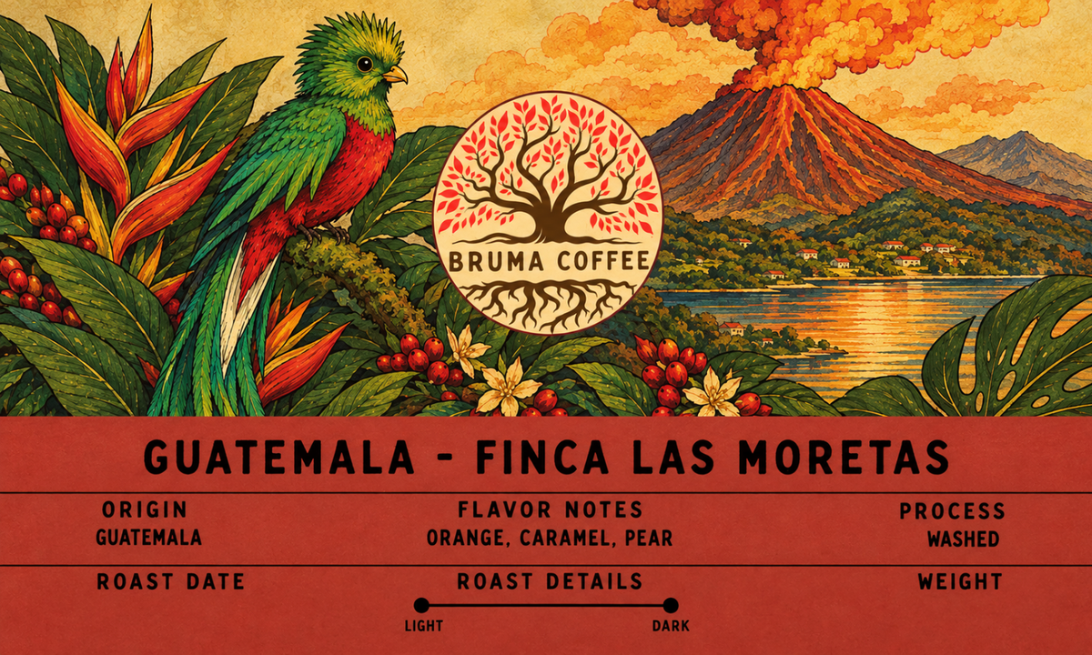 Guatemala - Finca Las Moretas